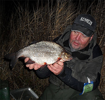 1376_Swedish Sportfishing Association_White Bream_Blicca bjoerkna.jpg